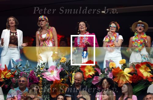 Amsterdam 25 mei 2024
Burgemeester Femke Halsema is aanwezig bij toppers in concert in de Johan Cruijff arena.