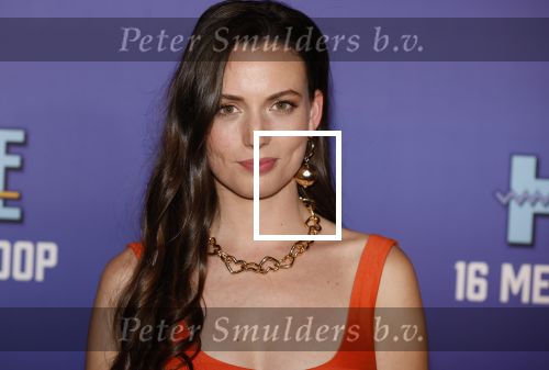 Amsterdam 13 mei 2024
Premiere Crazy House in Tuschinski. De cast met oa Alicia Silverstone Gaite Jansen Matti Stooker Chris Peters Victoria Koblenko Maarten Swart en Steffen Haars . Greg Shapiro presenteert de avond.