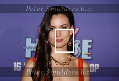 Amsterdam 13 mei 2024
Premiere Crazy House in Tuschinski. De cast met oa Alicia Silverstone Gaite Jansen Matti Stooker Chris Peters Victoria Koblenko Maarten Swart en Steffen Haars . Greg Shapiro presenteert de avond.