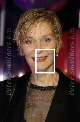 Amsterdam 11 mei 2024
Premiere Fantasievriendjes in Pathe Arena . Hilde de Mildt met haar man