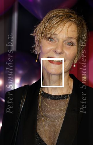 Amsterdam 11 mei 2024
Premiere Fantasievriendjes in Pathe Arena . Hilde de Mildt met haar man