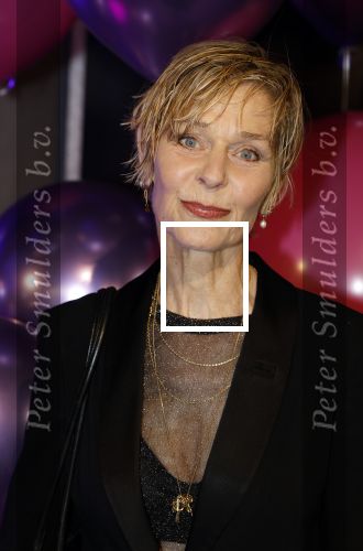 Amsterdam 11 mei 2024
Premiere Fantasievriendjes in Pathe Arena . Hilde de Mildt met haar man