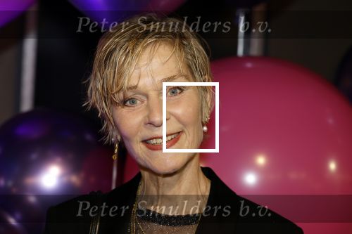 Amsterdam 11 mei 2024
Premiere Fantasievriendjes in Pathe Arena . Hilde de Mildt met haar man