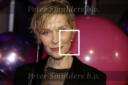 Amsterdam 11 mei 2024
Premiere Fantasievriendjes in Pathe Arena . Hilde de Mildt met haar man