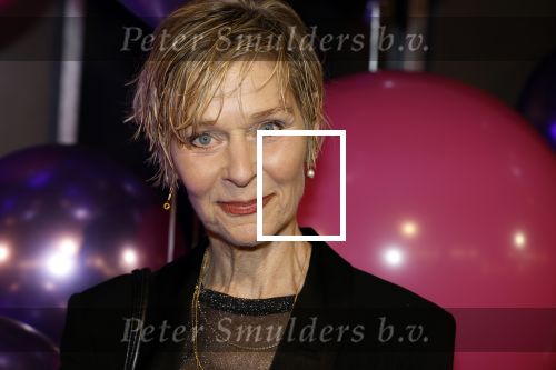 Amsterdam 11 mei 2024
Premiere Fantasievriendjes in Pathe Arena . Hilde de Mildt met haar man