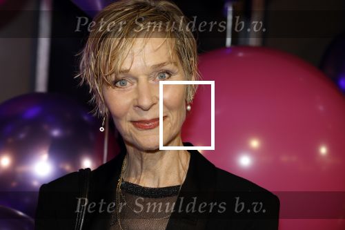 Amsterdam 11 mei 2024
Premiere Fantasievriendjes in Pathe Arena . Hilde de Mildt met haar man