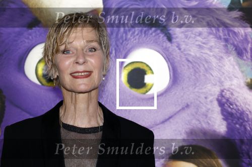 Amsterdam 11 mei 2024
Premiere Fantasievriendjes in Pathe Arena . Hilde de Mildt met haar man