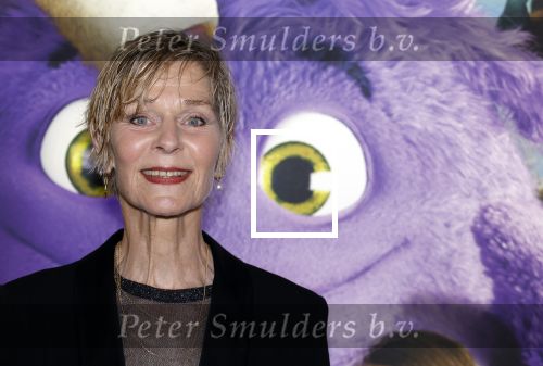 Amsterdam 11 mei 2024
Premiere Fantasievriendjes in Pathe Arena . Hilde de Mildt met haar man