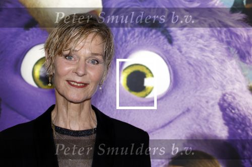 Amsterdam 11 mei 2024
Premiere Fantasievriendjes in Pathe Arena . Hilde de Mildt met haar man