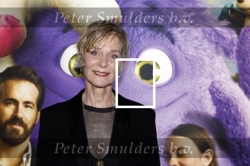 Amsterdam 11 mei 2024
Premiere Fantasievriendjes in Pathe Arena . Hilde de Mildt met haar man