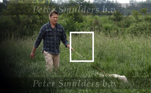 Blaricum 25 mei 2024
Linda de Mol en haar vriend Jeroen Rietbergen gaan met hun twee labradors wandelen op de hei bij Blaricum .
