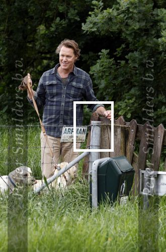 Blaricum 25 mei 2024
Linda de Mol en haar vriend Jeroen Rietbergen gaan met hun twee labradors wandelen op de hei bij Blaricum .
