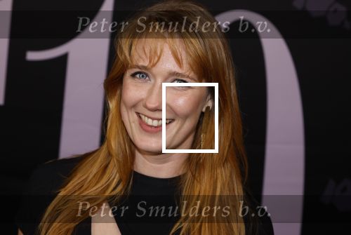 Amsterdam 14 mei 2024
Premiere documentaire S10 gemaakt door Linda Hakeboom in Tuschinski. Jip v d Toorn
