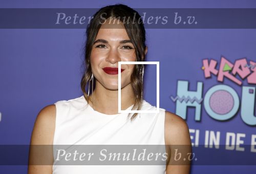 Amsterdam 13 mei 2024
Premiere Crazy House in Tuschinski. De cast met oa Alicia Silverstone Gaite Jansen Matti Stooker Chris Peters Victoria Koblenko Maarten Swart en Steffen Haars . Greg Shapiro presenteert de avond. Julia Sinning