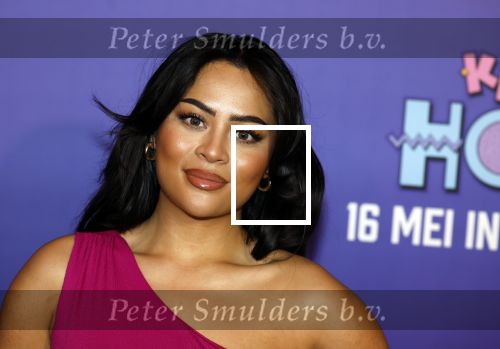 Amsterdam 13 mei 2024
Premiere Crazy House in Tuschinski. De cast met oa Alicia Silverstone Gaite Jansen Matti Stooker Chris Peters Victoria Koblenko Maarten Swart en Steffen Haars . Greg Shapiro presenteert de avond.
