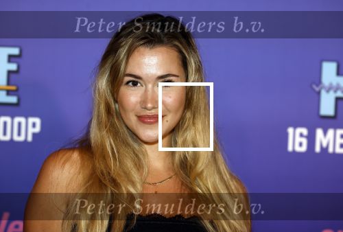 Amsterdam 13 mei 2024
Premiere Crazy House in Tuschinski. De cast met oa Alicia Silverstone Gaite Jansen Matti Stooker Chris Peters Victoria Koblenko Maarten Swart en Steffen Haars . Greg Shapiro presenteert de avond.