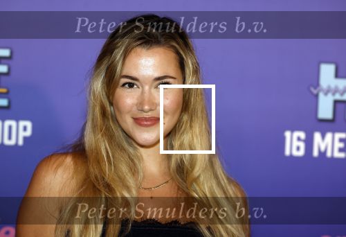 Amsterdam 13 mei 2024
Premiere Crazy House in Tuschinski. De cast met oa Alicia Silverstone Gaite Jansen Matti Stooker Chris Peters Victoria Koblenko Maarten Swart en Steffen Haars . Greg Shapiro presenteert de avond.