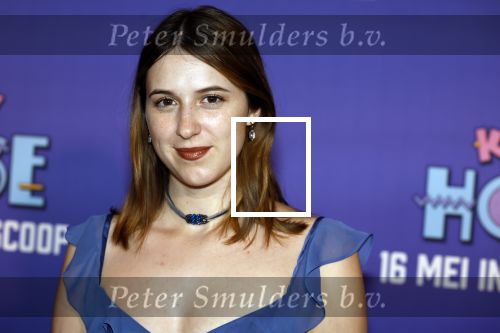 Amsterdam 13 mei 2024
Premiere Crazy House in Tuschinski. De cast met oa Alicia Silverstone Gaite Jansen Matti Stooker Chris Peters Victoria Koblenko Maarten Swart en Steffen Haars . Greg Shapiro presenteert de avond.