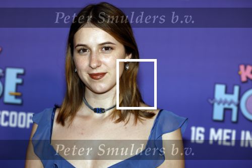 Amsterdam 13 mei 2024
Premiere Crazy House in Tuschinski. De cast met oa Alicia Silverstone Gaite Jansen Matti Stooker Chris Peters Victoria Koblenko Maarten Swart en Steffen Haars . Greg Shapiro presenteert de avond.