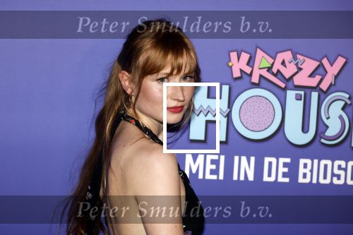 Amsterdam 13 mei 2024
Premiere Crazy House in Tuschinski. De cast met oa Alicia Silverstone Gaite Jansen Matti Stooker Chris Peters Victoria Koblenko Maarten Swart en Steffen Haars . Greg Shapiro presenteert de avond.