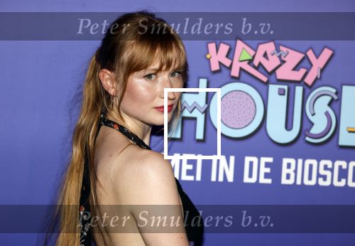Amsterdam 13 mei 2024
Premiere Crazy House in Tuschinski. De cast met oa Alicia Silverstone Gaite Jansen Matti Stooker Chris Peters Victoria Koblenko Maarten Swart en Steffen Haars . Greg Shapiro presenteert de avond.