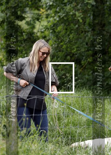 Blaricum 25 mei 2024
Linda de Mol en haar vriend Jeroen Rietbergen gaan met hun twee labradors wandelen op de hei bij Blaricum .