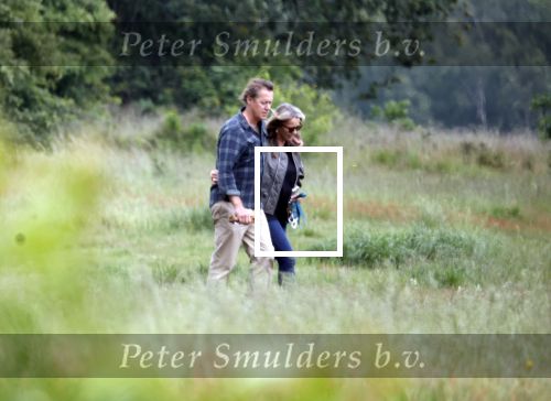 Blaricum 25 mei 2024
Linda de Mol en haar vriend Jeroen Rietbergen gaan met hun twee labradors wandelen op de hei bij Blaricum .