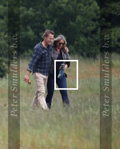 Blaricum 25 mei 2024
Linda de Mol en haar vriend Jeroen Rietbergen gaan met hun twee labradors wandelen op de hei bij Blaricum .