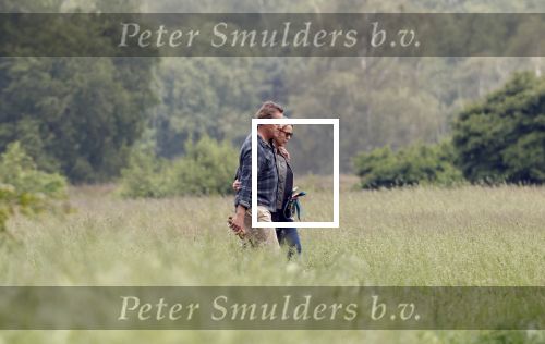 Blaricum 25 mei 2024
Linda de Mol en haar vriend Jeroen Rietbergen gaan met hun twee labradors wandelen op de hei bij Blaricum .
