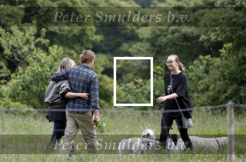 Blaricum 25 mei 2024
Linda de Mol en haar vriend Jeroen Rietbergen gaan met hun twee labradors wandelen op de hei bij Blaricum .
