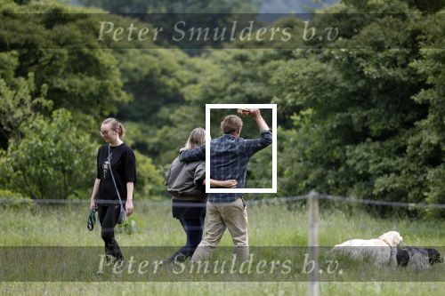 Blaricum 25 mei 2024
Linda de Mol en haar vriend Jeroen Rietbergen gaan met hun twee labradors wandelen op de hei bij Blaricum .