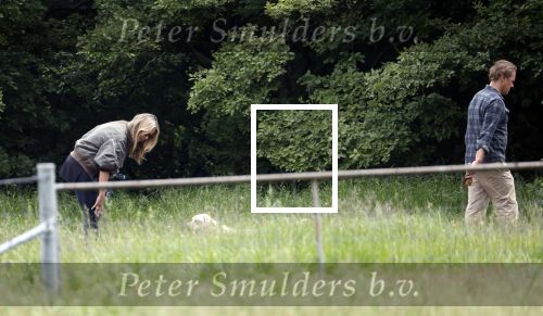 Blaricum 25 mei 2024
Linda de Mol en haar vriend Jeroen Rietbergen gaan met hun twee labradors wandelen op de hei bij Blaricum .