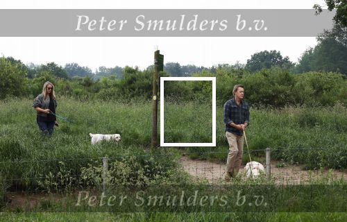 Blaricum 25 mei 2024
Linda de Mol en haar vriend Jeroen Rietbergen gaan met hun twee labradors wandelen op de hei bij Blaricum .