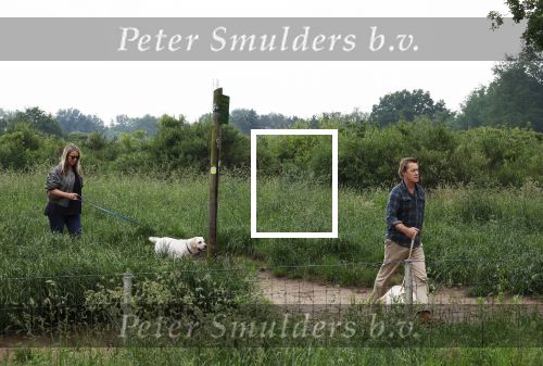 Blaricum 25 mei 2024
Linda de Mol en haar vriend Jeroen Rietbergen gaan met hun twee labradors wandelen op de hei bij Blaricum .