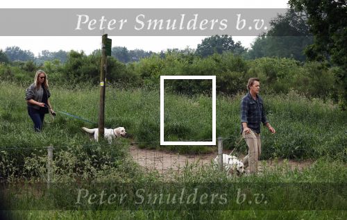 Blaricum 25 mei 2024
Linda de Mol en haar vriend Jeroen Rietbergen gaan met hun twee labradors wandelen op de hei bij Blaricum .
