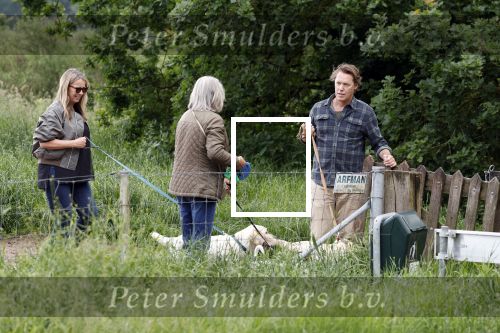 Blaricum 25 mei 2024
Linda de Mol en haar vriend Jeroen Rietbergen gaan met hun twee labradors wandelen op de hei bij Blaricum .