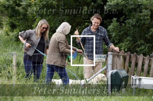 Blaricum 25 mei 2024
Linda de Mol en haar vriend Jeroen Rietbergen gaan met hun twee labradors wandelen op de hei bij Blaricum .