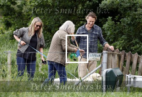 Blaricum 25 mei 2024
Linda de Mol en haar vriend Jeroen Rietbergen gaan met hun twee labradors wandelen op de hei bij Blaricum .