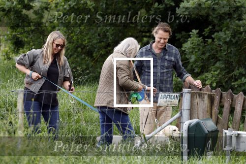 Blaricum 25 mei 2024
Linda de Mol en haar vriend Jeroen Rietbergen gaan met hun twee labradors wandelen op de hei bij Blaricum .