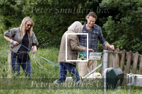 Blaricum 25 mei 2024
Linda de Mol en haar vriend Jeroen Rietbergen gaan met hun twee labradors wandelen op de hei bij Blaricum .