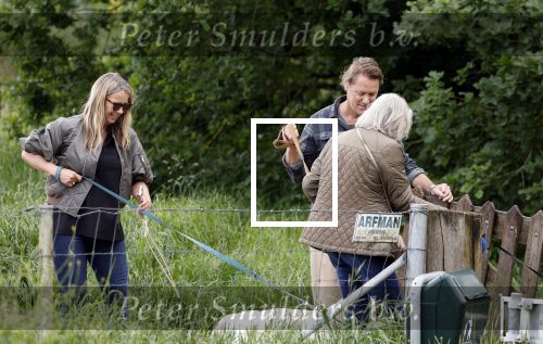 Blaricum 25 mei 2024
Linda de Mol en haar vriend Jeroen Rietbergen gaan met hun twee labradors wandelen op de hei bij Blaricum .