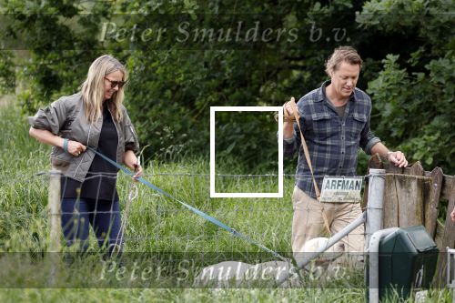 Blaricum 25 mei 2024
Linda de Mol en haar vriend Jeroen Rietbergen gaan met hun twee labradors wandelen op de hei bij Blaricum .