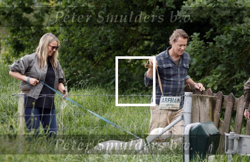 Blaricum 25 mei 2024
Linda de Mol en haar vriend Jeroen Rietbergen gaan met hun twee labradors wandelen op de hei bij Blaricum .