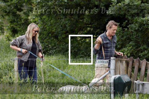 Blaricum 25 mei 2024
Linda de Mol en haar vriend Jeroen Rietbergen gaan met hun twee labradors wandelen op de hei bij Blaricum .