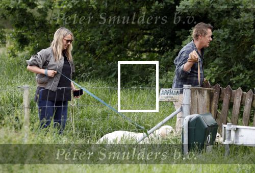Blaricum 25 mei 2024
Linda de Mol en haar vriend Jeroen Rietbergen gaan met hun twee labradors wandelen op de hei bij Blaricum .