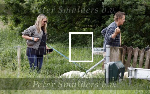 Blaricum 25 mei 2024
Linda de Mol en haar vriend Jeroen Rietbergen gaan met hun twee labradors wandelen op de hei bij Blaricum .