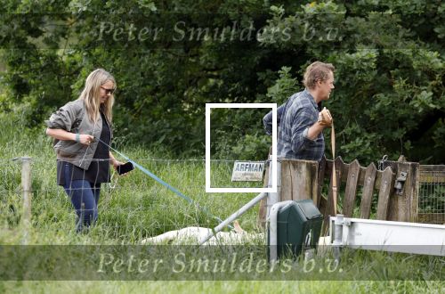 Blaricum 25 mei 2024
Linda de Mol en haar vriend Jeroen Rietbergen gaan met hun twee labradors wandelen op de hei bij Blaricum .