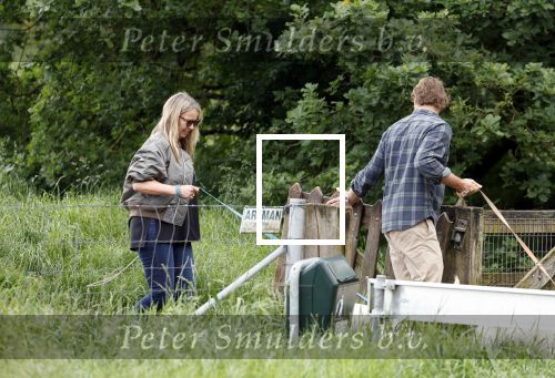 Blaricum 25 mei 2024
Linda de Mol en haar vriend Jeroen Rietbergen gaan met hun twee labradors wandelen op de hei bij Blaricum .