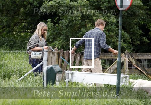 Blaricum 25 mei 2024
Linda de Mol en haar vriend Jeroen Rietbergen gaan met hun twee labradors wandelen op de hei bij Blaricum .