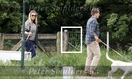 Blaricum 25 mei 2024
Linda de Mol en haar vriend Jeroen Rietbergen gaan met hun twee labradors wandelen op de hei bij Blaricum .